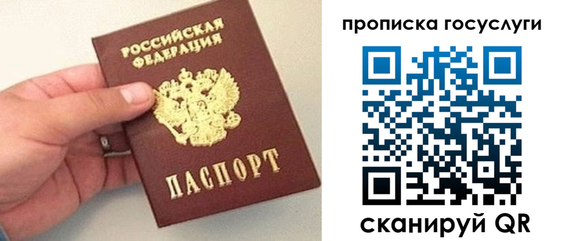где прописаться в Советской Гавани
