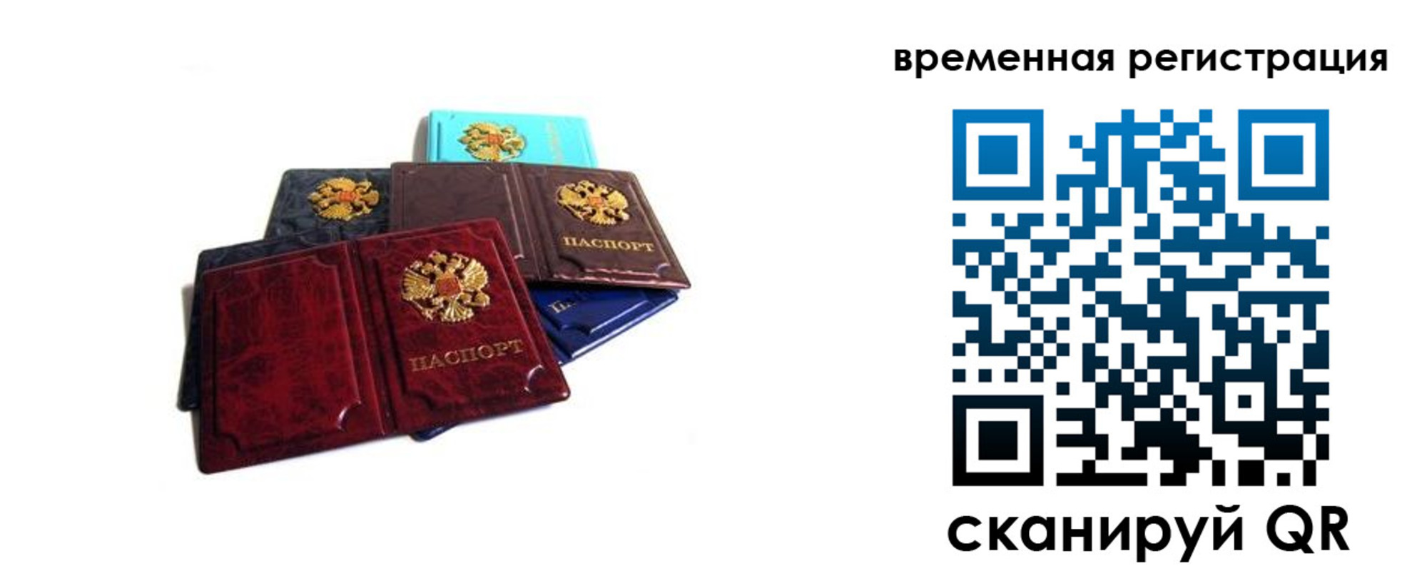 прописка для работы в Советской Гавани